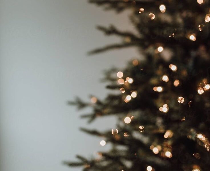 12月のご予約について🎄